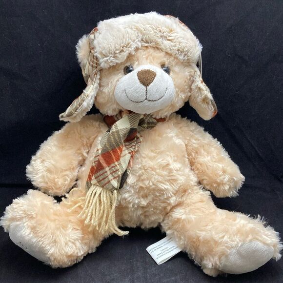 2015 Pier 1 Imports Hamilton Bear Teddy‎ Bear Hat Scarf NWT - Picture 1 of 9
